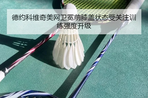 德约科维奇美网卫冕前膝盖状态受关注训练强度升级 | MILANSPORT